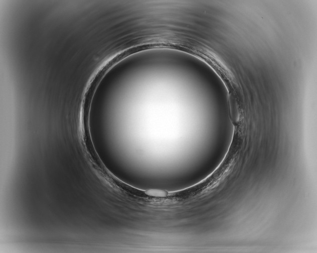 X0000094380788200711021225