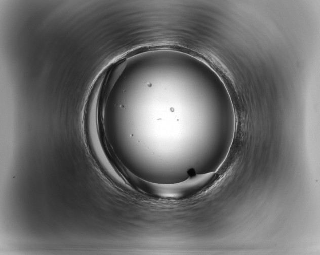 X0000094380789200711021225