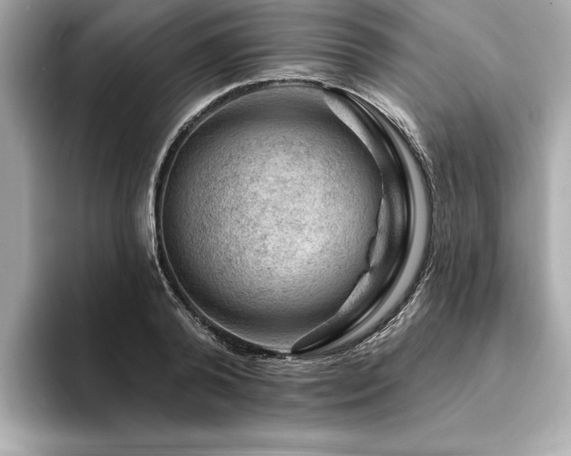 X0000094380792200711021225