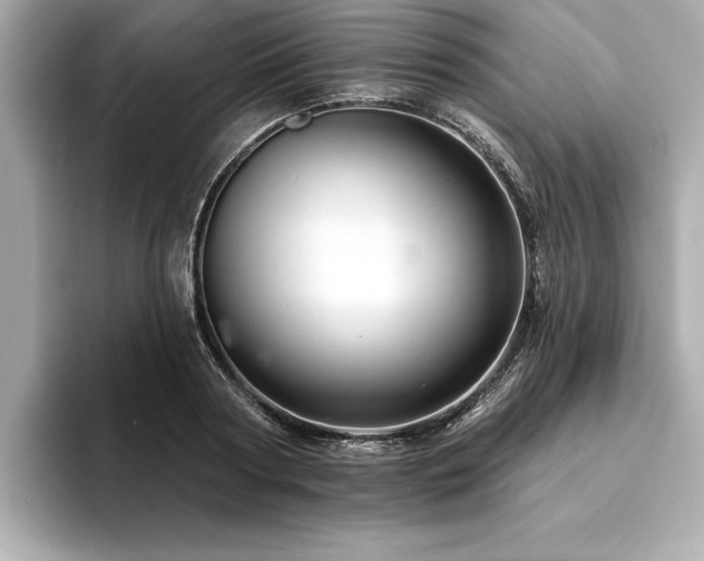 X0000094380794200711021225