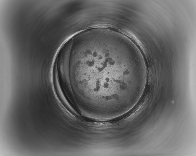 X0000094380795200711021225