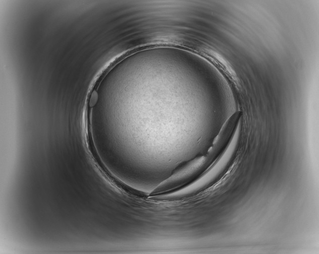 X0000094380796200711021225