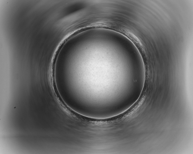 X0000094380800200711021225
