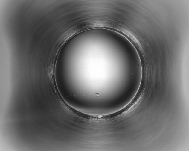 X0000094380801200711021225