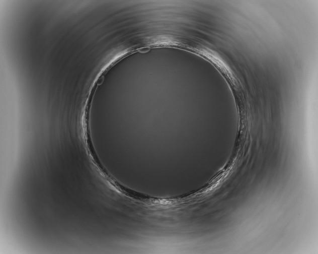 X0000094380806200711021225