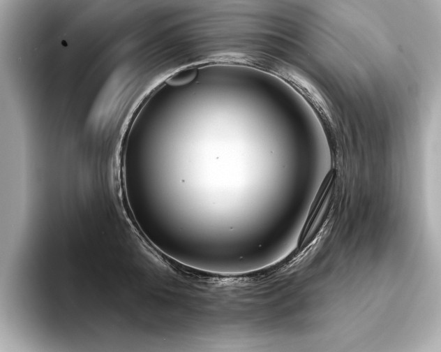 X0000094380808200711021225