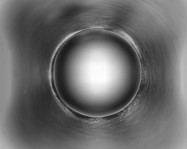 X0000094380811200711021225