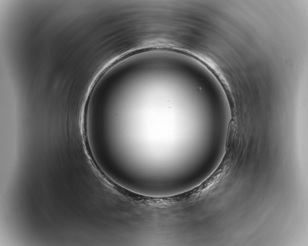 X0000094380815200711021225