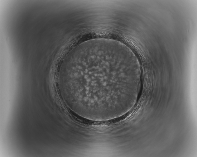X0000094380817200711021224