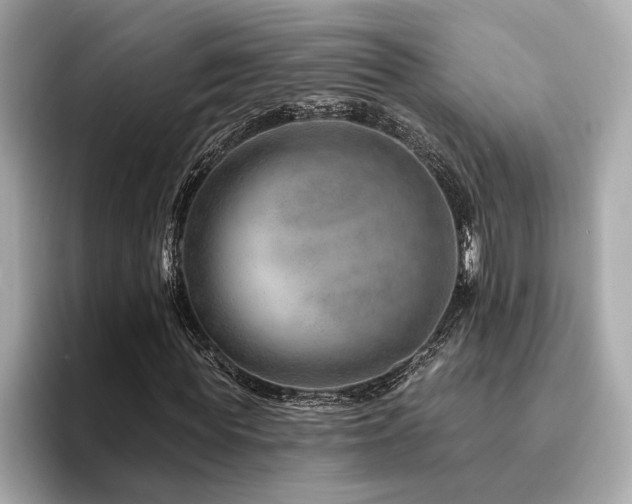 X0000094380819200711021224