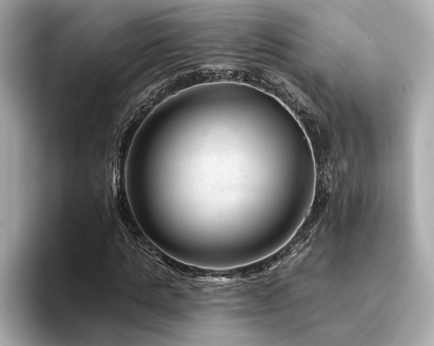 X0000094380821200711021224