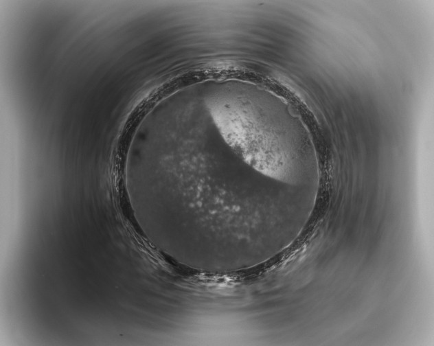 X0000094380823200711021224