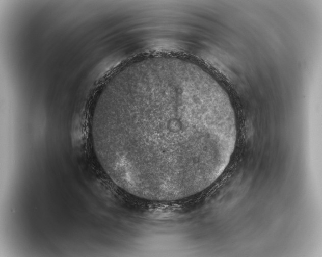 X0000094380824200711021224