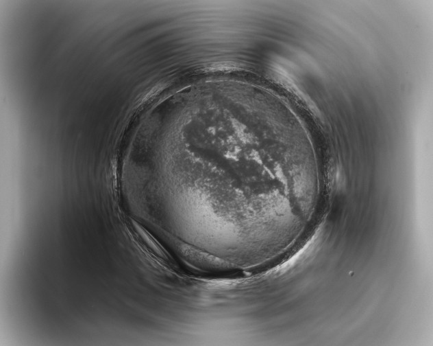 X0000094380825200711021224