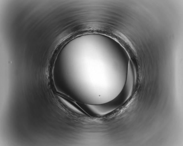 X0000094380826200711021224
