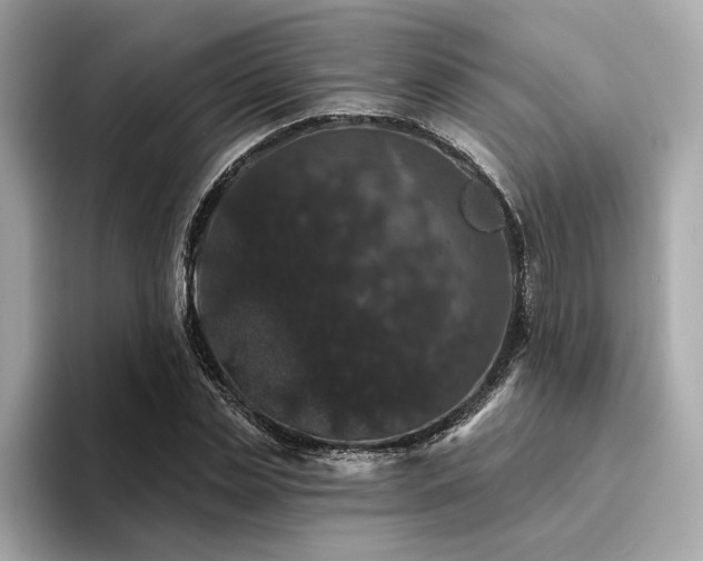 X0000094380829200711021224