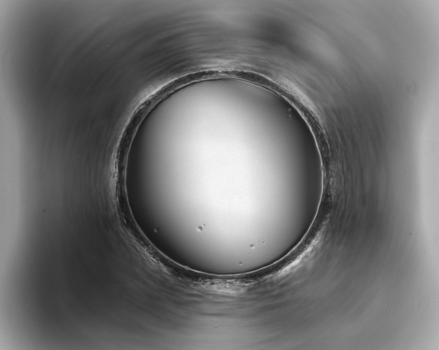 X0000094380831200711021224