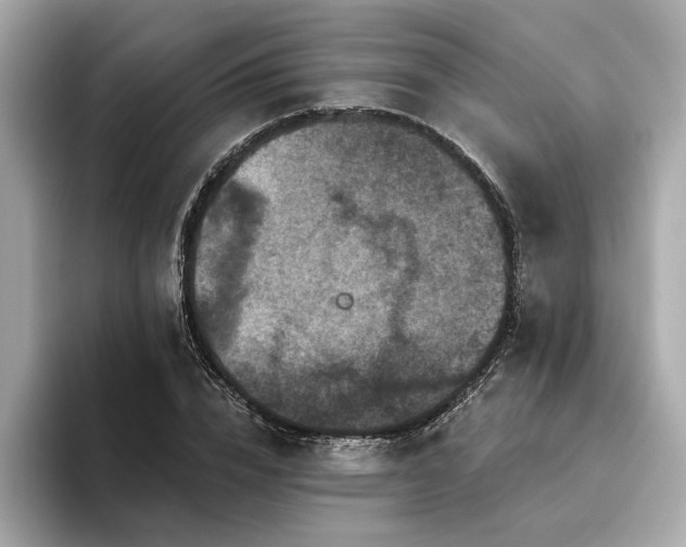 X0000094380832200711021224
