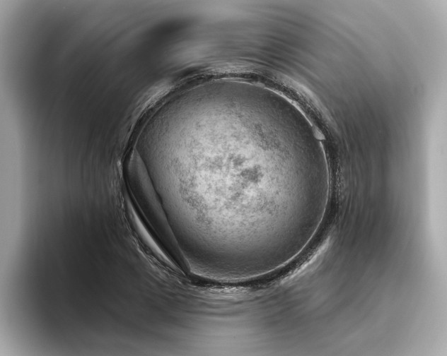 X0000094380833200711021224