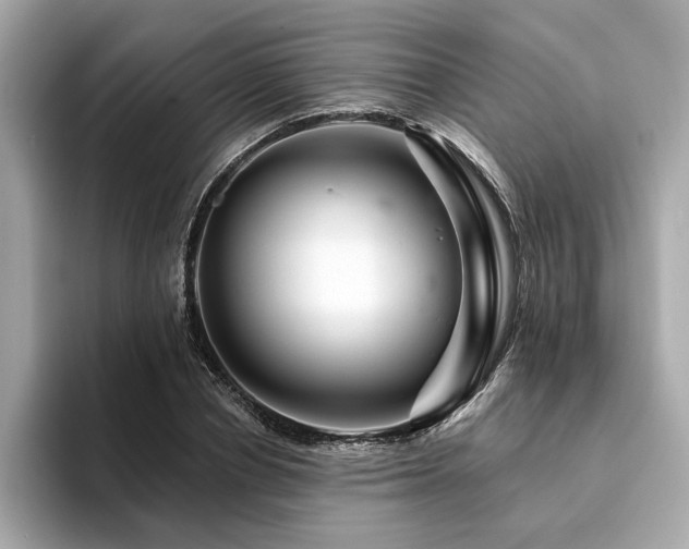 X0000094380834200711021224