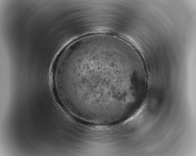 X0000094380835200711021224