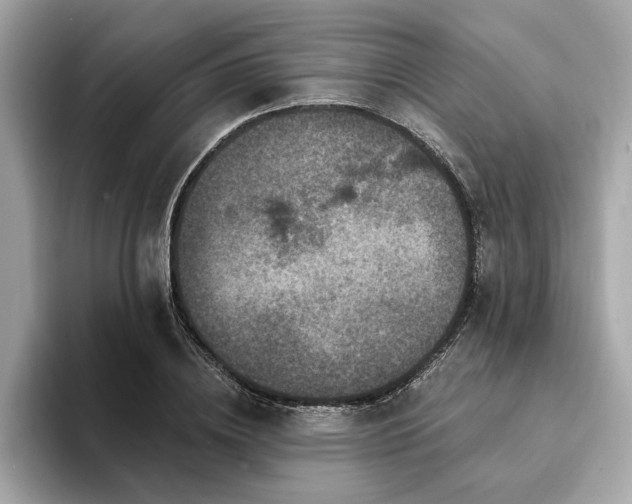 X0000094380836200711021224
