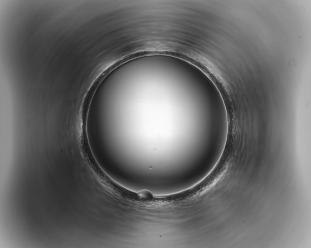X0000094380837200711021224