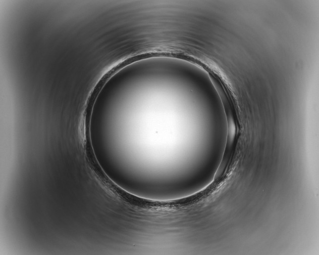 X0000094380838200711021224