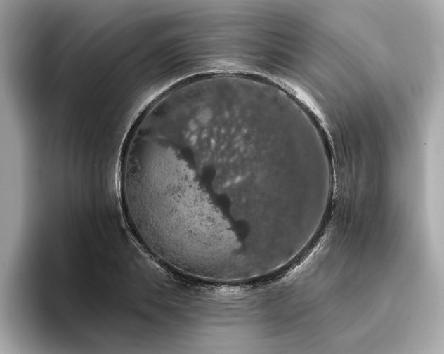 X0000094380839200711021224