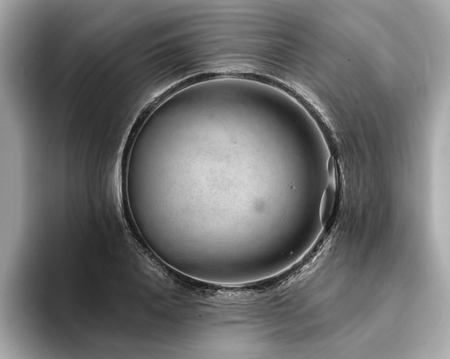 X0000094380840200711021224