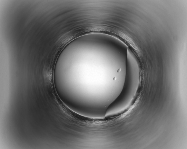 X0000094380841200711021224