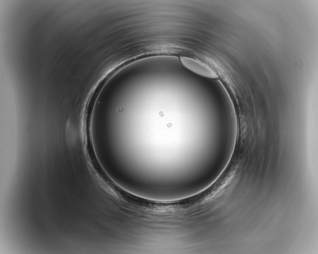 X0000094380843200711021224