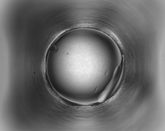 X0000094380844200711021224