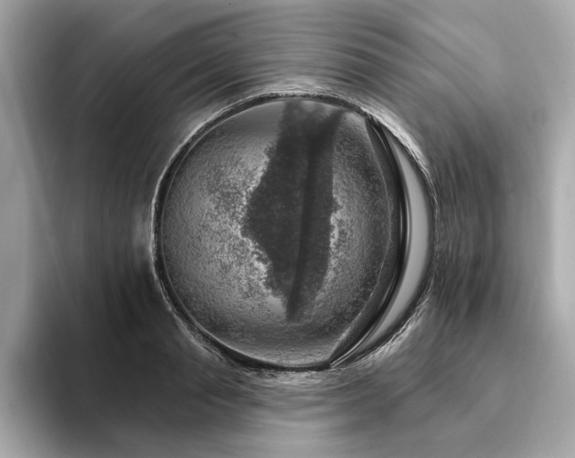 X0000094380845200711021224