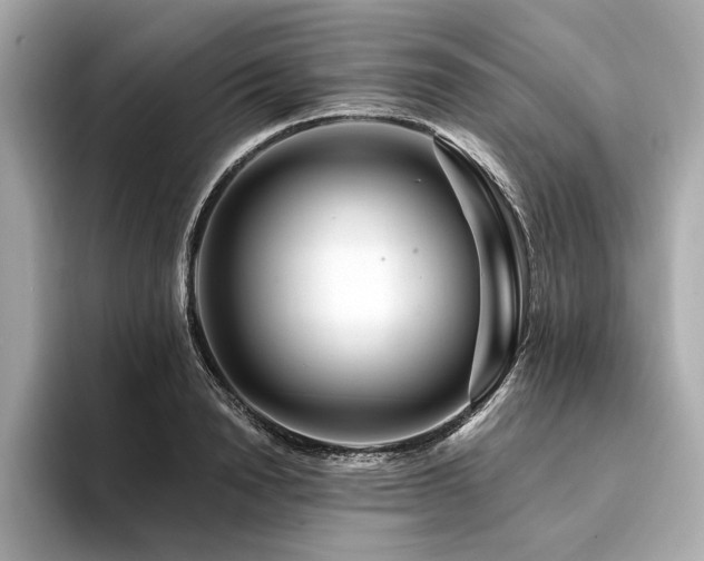 X0000094380846200711021225