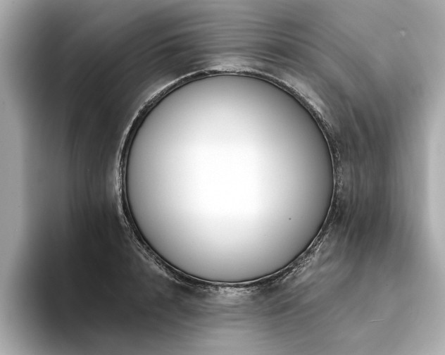 X0000094380848200711021225