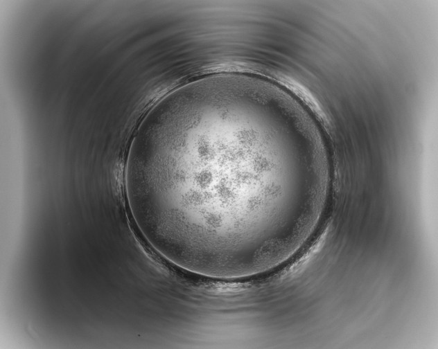 X0000094380849200711021225