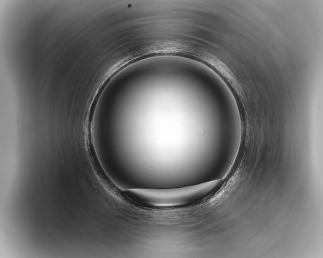 X0000094380850200711021225