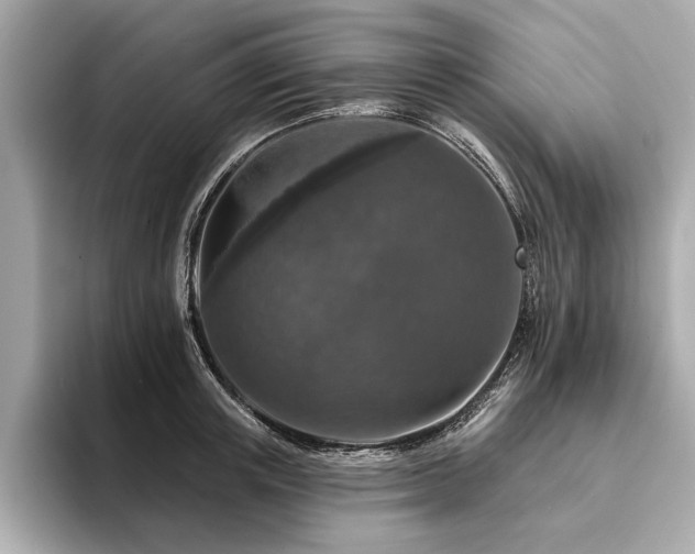 X0000094380851200711021225