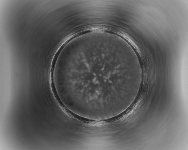 X0000094380853200711021225