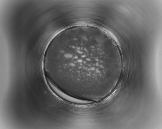 X0000094380855200711021225