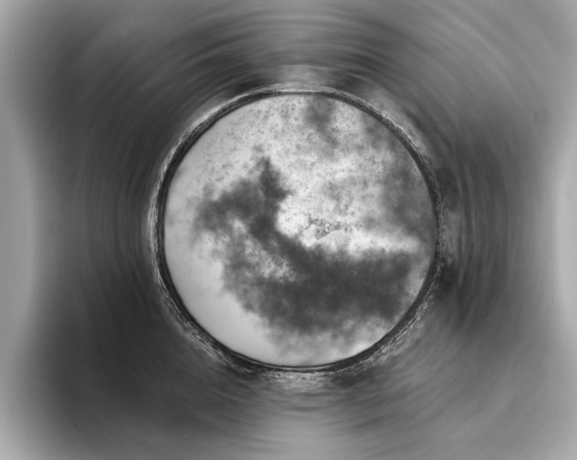 X0000094380856200711021225