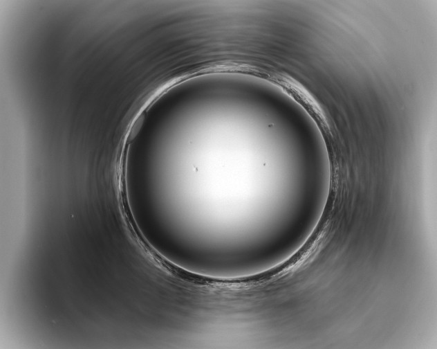 X0000094380860200711021225