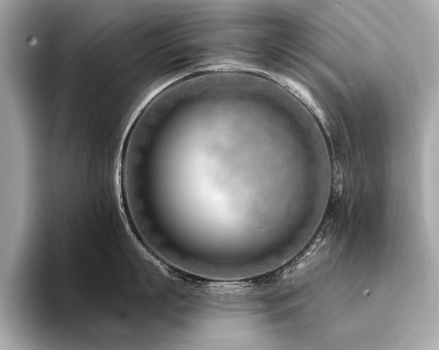 X0000094380863200711021225
