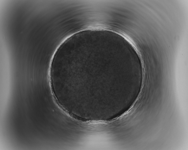 X0000094380864200711021225