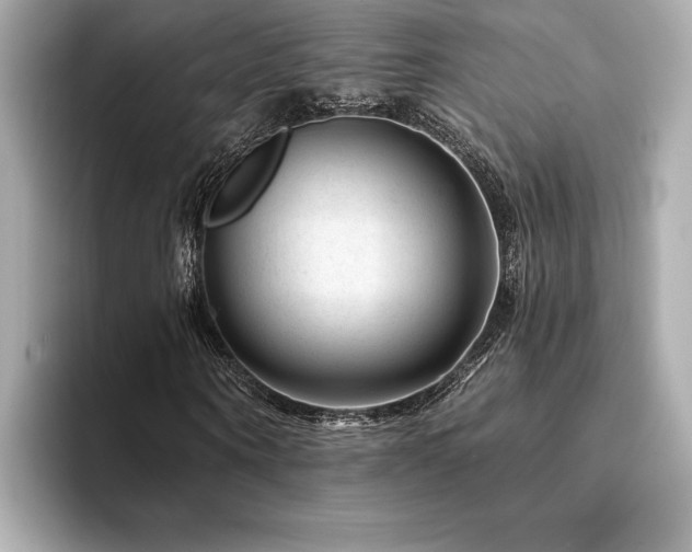 X0000094380866200711021224