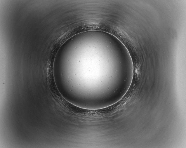 X0000094380867200711021224