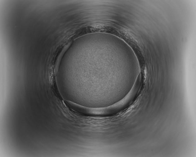 X0000094380868200711021224