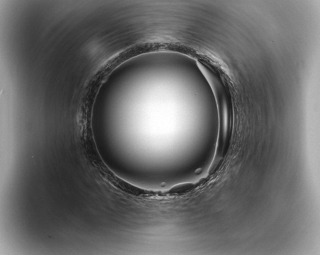 X0000094380872200711021224