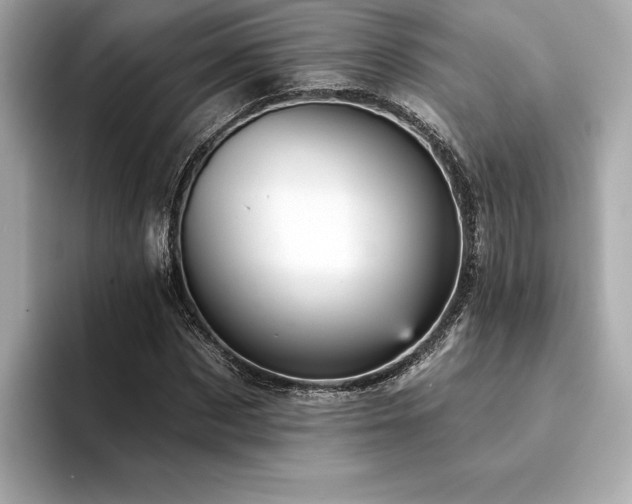 X0000094380873200711021224